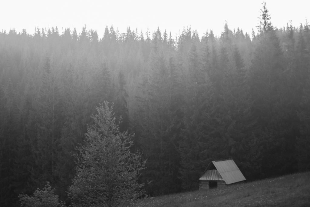 plener slubny, szanowny pan, zdjecia slubne, fotografia okolicznosciowa, szanownypan, szanowny pan foto, fotograf slubny lodz, fotograf ślubny łódź, rustykalne zdjecia ślubne, zdjęcia z wesela, najlepsze zdjęcia ślubne, rustykalny plener ślubny, fotografia okolicznościowa Łódź,