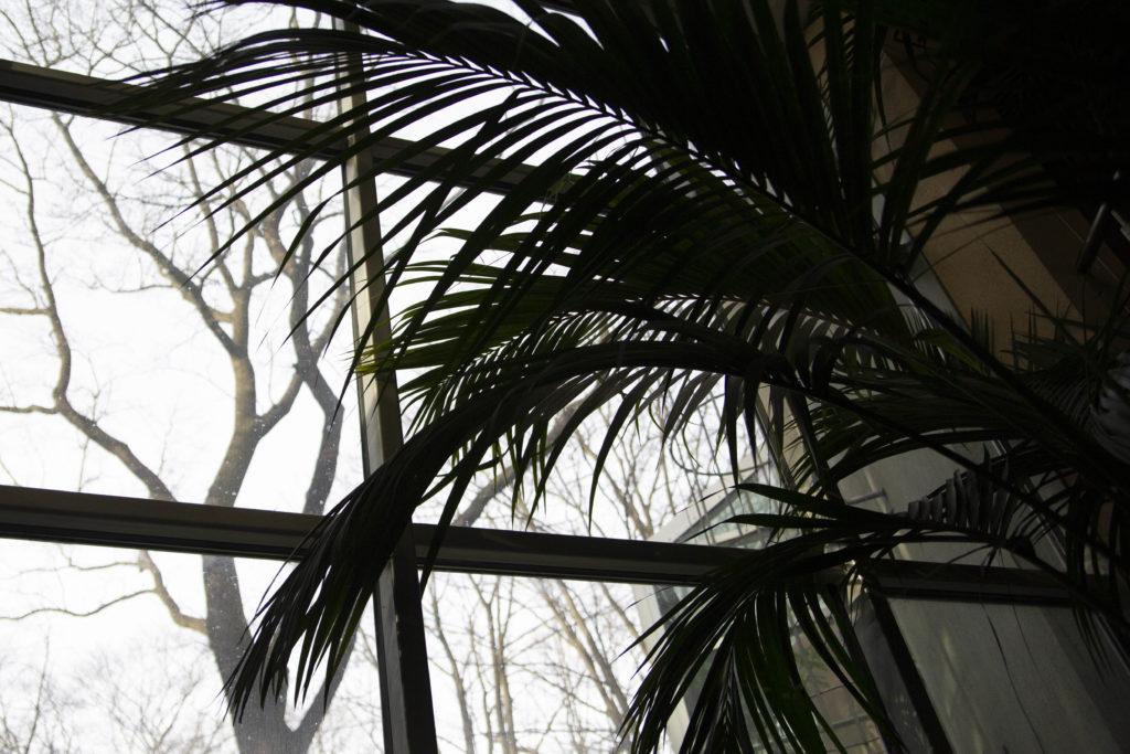 plener slubny, szanowny pan, zdjecia slubne, fotografia okolicznosciowa, szanownypan, szanowny pan foto, fotograf slubny lodz, fotograf ślubny łódź, rustykalne zdjecia ślubne, zdjęcia z wesela, najlepsze zdjęcia ślubne, rustykalny plener ślubny, fotografia okolicznościowa Łódź,