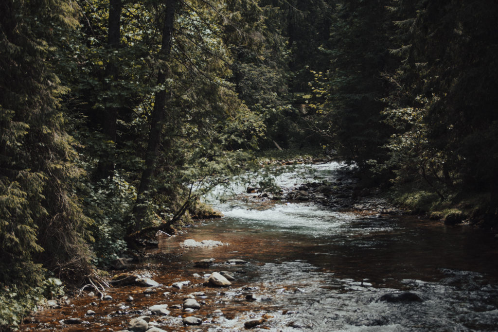 plener slubny, szanowny pan, zdjecia slubne, fotografia okolicznosciowa, szanownypan, szanowny pan foto, fotograf slubny lodz, fotograf ślubny łódź, rustykalne zdjecia ślubne, zdjęcia z wesela, najlepsze zdjęcia ślubne, rustykalny plener ślubny, fotografia okolicznościowa Łódź,