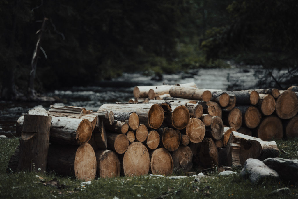 plener slubny, szanowny pan, zdjecia slubne, fotografia okolicznosciowa, szanownypan, szanowny pan foto, fotograf slubny lodz, fotograf ślubny łódź, rustykalne zdjecia ślubne, zdjęcia z wesela, najlepsze zdjęcia ślubne, rustykalny plener ślubny, fotografia okolicznościowa Łódź,