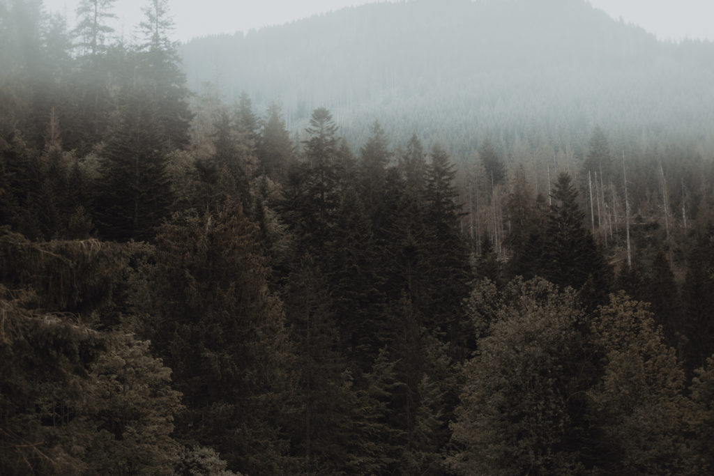 plener slubny, szanowny pan, zdjecia slubne, fotografia okolicznosciowa, szanownypan, szanowny pan foto, fotograf slubny lodz, fotograf ślubny łódź, rustykalne zdjecia ślubne, zdjęcia z wesela, najlepsze zdjęcia ślubne, rustykalny plener ślubny, fotografia okolicznościowa Łódź,