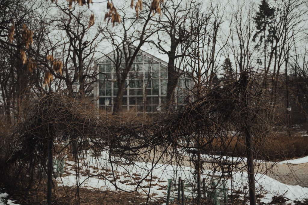 plener slubny, szanowny pan, zdjecia slubne, fotografia okolicznosciowa, szanownypan, szanowny pan foto, fotograf slubny lodz, fotograf ślubny łódź, rustykalne zdjecia ślubne, zdjęcia z wesela, najlepsze zdjęcia ślubne, rustykalny plener ślubny, fotografia okolicznościowa Łódź,